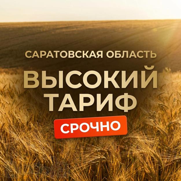 Работа для самосвалов 8×4: лёгкий материал, стабильные выплаты